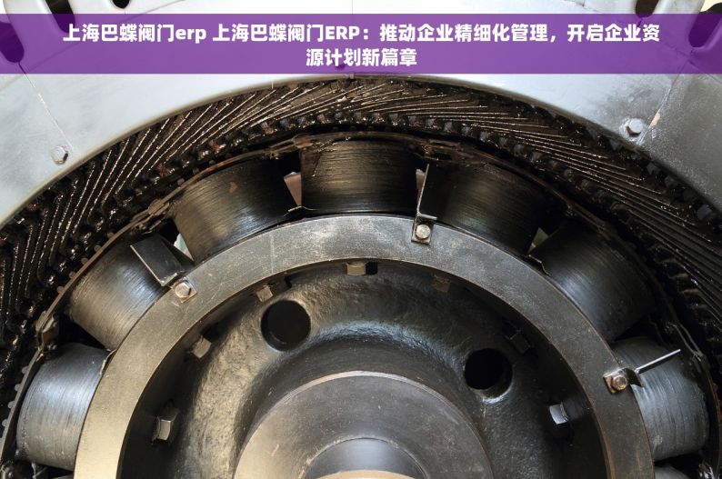 上海巴蝶阀门erp 上海巴蝶阀门ERP：推动企业精细化管理，开启企业资源计划新篇章