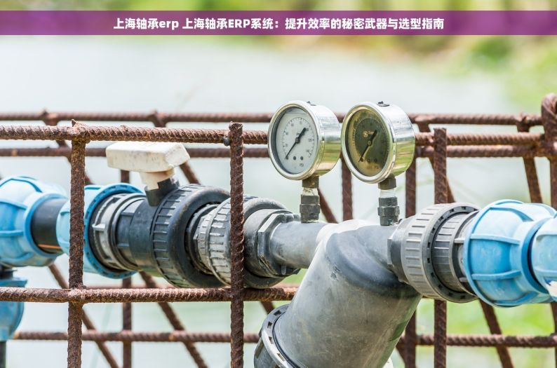 上海轴承erp 上海轴承ERP系统：提升效率的秘密武器与选型指南