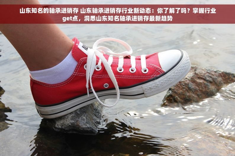 卷材钢材仓库管理系统：实现高效管理并维护清洁干燥环境的关键