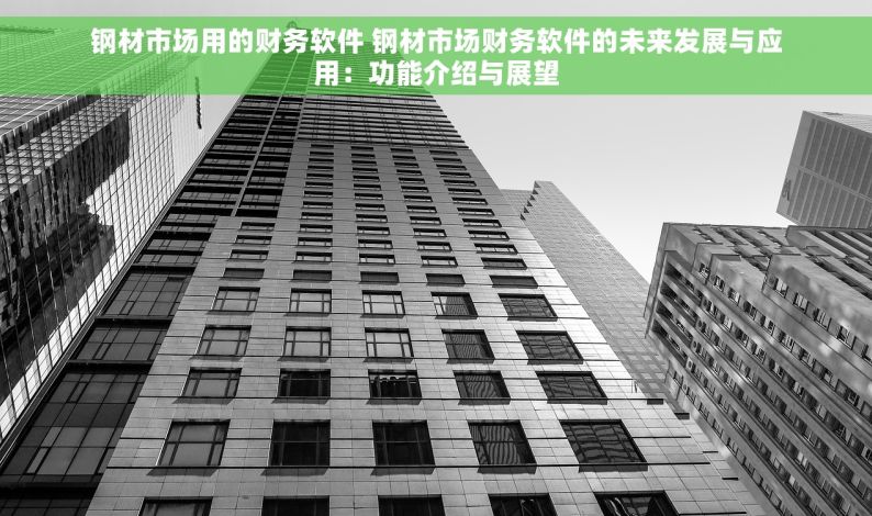 钢材市场用的财务软件 钢材市场财务软件的未来发展与应用：功能介绍与展望