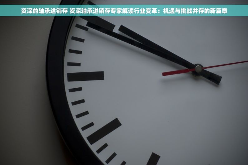 资深的轴承进销存 资深轴承进销存专家解读行业变革：机遇与挑战并存的新篇章