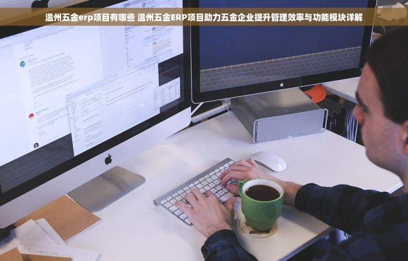 温州五金erp项目有哪些 温州五金ERP项目助力五金企业提升管理效率与功能模块详解