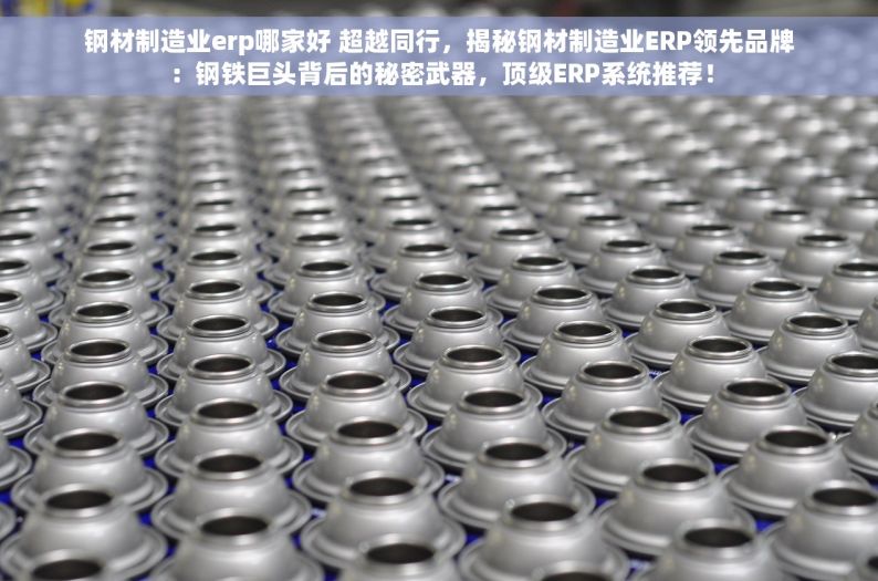 钢材制造业erp哪家好 超越同行，揭秘钢材制造业ERP领先品牌：钢铁巨头背后的秘密武器，顶级ERP系统推荐！