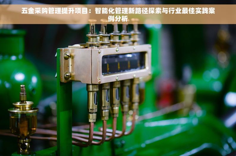 五金采购管理提升项目：智能化管理新路径探索与行业最佳实践案例分析