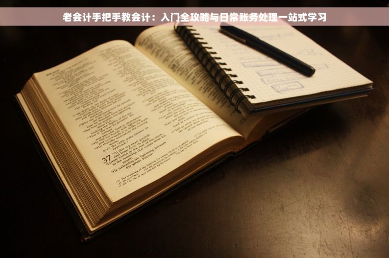 老会计手把手教会计：入门全攻略与日常账务处理一站式学习