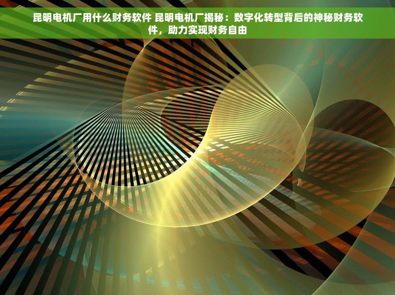 昆明电机厂用什么财务软件 昆明电机厂揭秘：数字化转型背后的神秘财务软件，助力实现财务自由