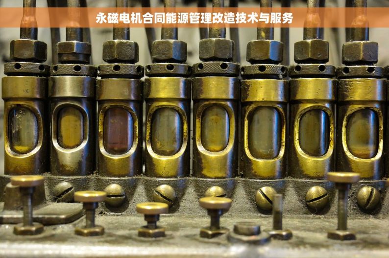永磁电机合同能源管理改造技术与服务