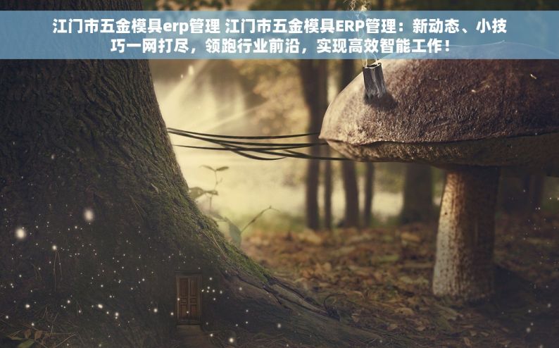 江门市五金模具erp管理 江门市五金模具ERP管理：新动态、小技巧一网打尽，领跑行业前沿，实现高效智能工作！