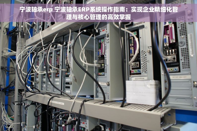 北京市五金erp哪家不错 北京市五金ERP系统价格与案例 - 探索五金行业ERP系统性价比与成功应用