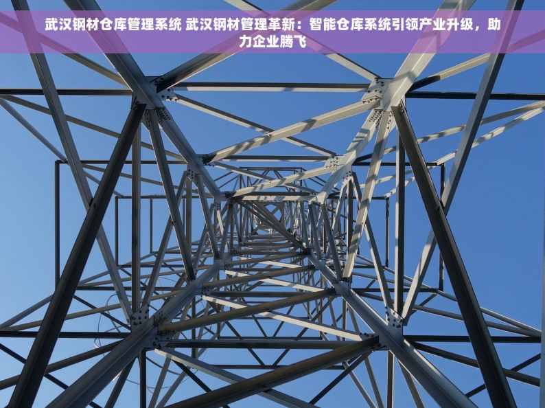 武汉钢材仓库管理系统 武汉钢材管理革新：智能仓库系统引领产业升级，助力企业腾飞