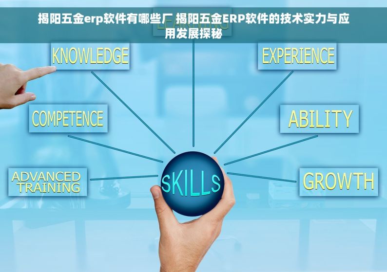 揭阳五金erp软件有哪些厂 揭阳五金ERP软件的技术实力与应用发展探秘
