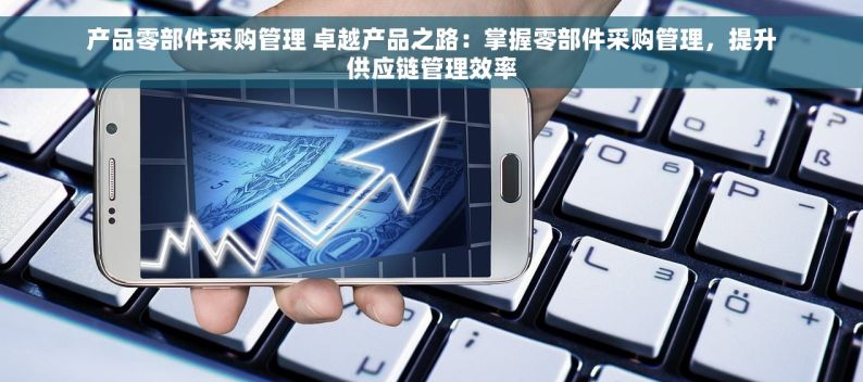 产品零部件采购管理 卓越产品之路：掌握零部件采购管理，提升供应链管理效率