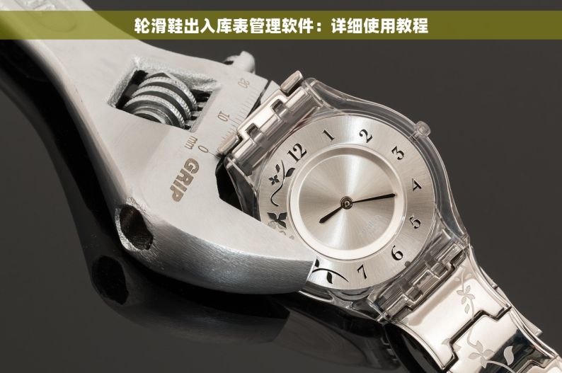 轮滑鞋出入库表管理软件：详细使用教程