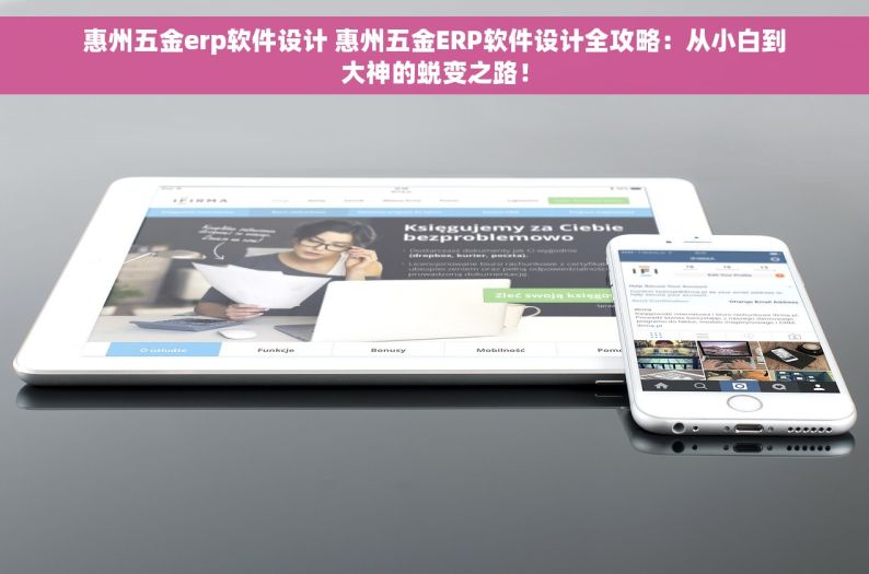 惠州五金erp软件设计 惠州五金ERP软件设计全攻略：从小白到大神的蜕变之路！