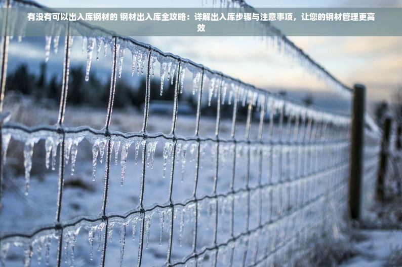 有没有可以出入库钢材的 钢材出入库全攻略：详解出入库步骤与注意事项，让您的钢材管理更高效