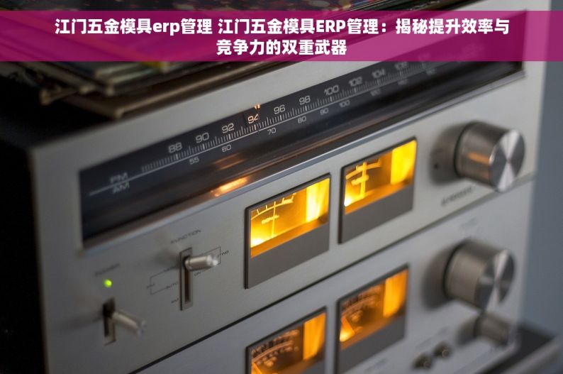 江门五金模具erp管理 江门五金模具ERP管理：揭秘提升效率与竞争力的双重武器