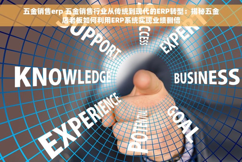 五金销售erp 五金销售行业从传统到现代的ERP转型：揭秘五金店老板如何利用ERP系统实现业绩翻倍