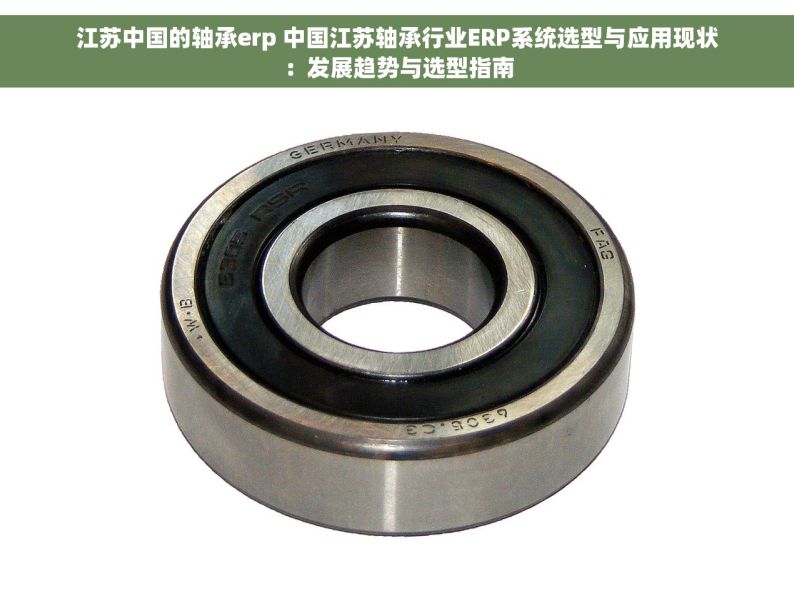 江苏中国的轴承erp 中国江苏轴承行业ERP系统选型与应用现状：发展趋势与选型指南