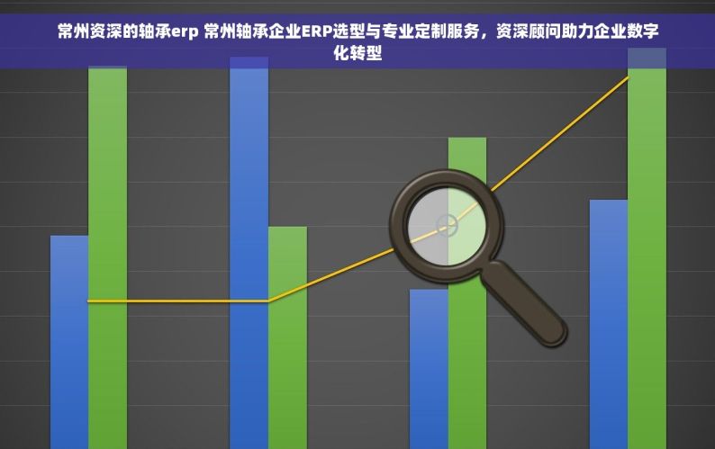 常州资深的轴承erp 常州轴承企业ERP选型与专业定制服务，资深顾问助力企业数字化转型