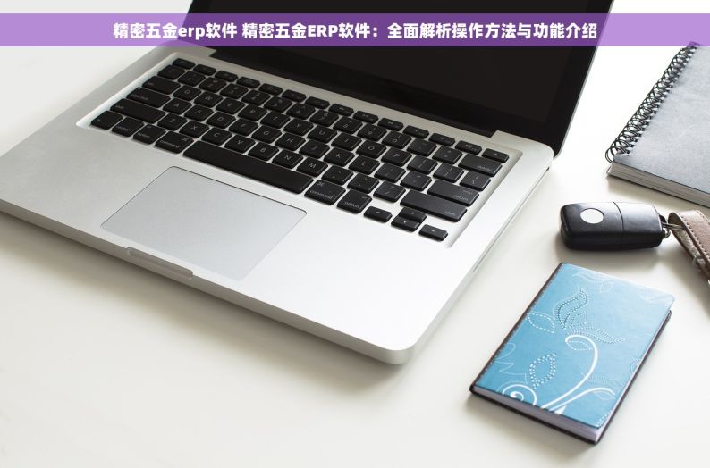 精密五金erp软件 精密五金ERP软件：全面解析操作方法与功能介绍