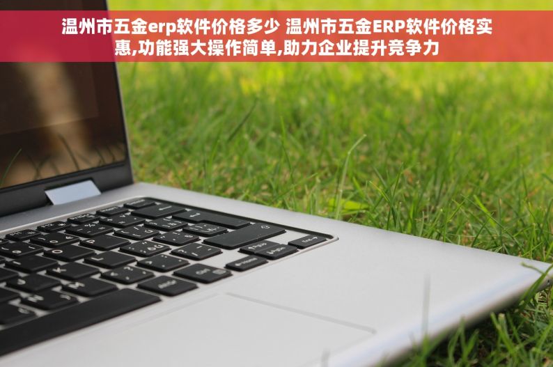 温州市五金erp软件价格多少 温州市五金ERP软件价格实惠,功能强大操作简单,助力企业提升竞争力