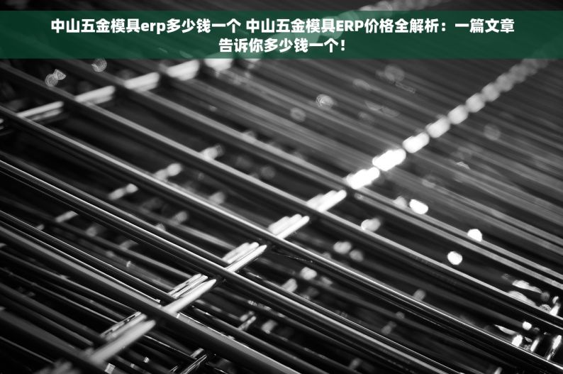 中山五金模具erp多少钱一个 中山五金模具ERP价格全解析：一篇文章告诉你多少钱一个！