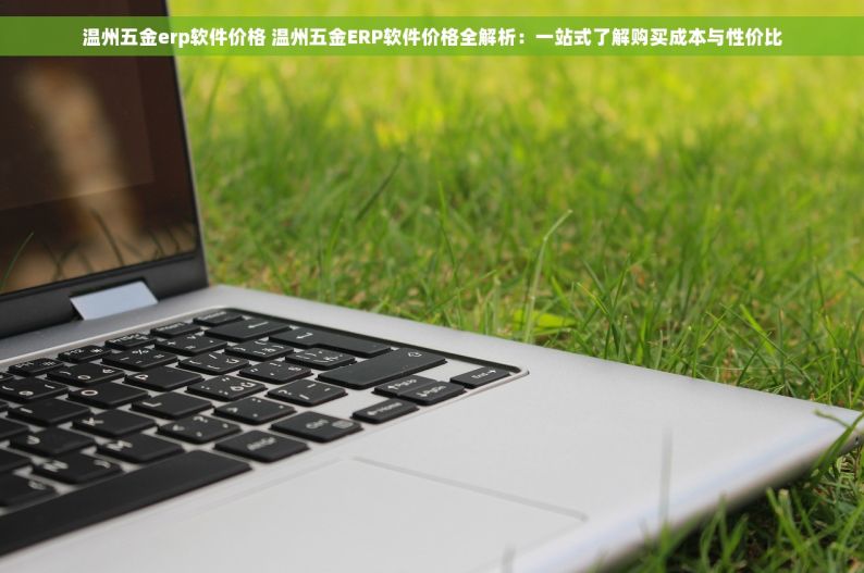 湛江五金erp哪家好用点 湛江五金行业新秀ERP崛起，助力生意升级首选推荐