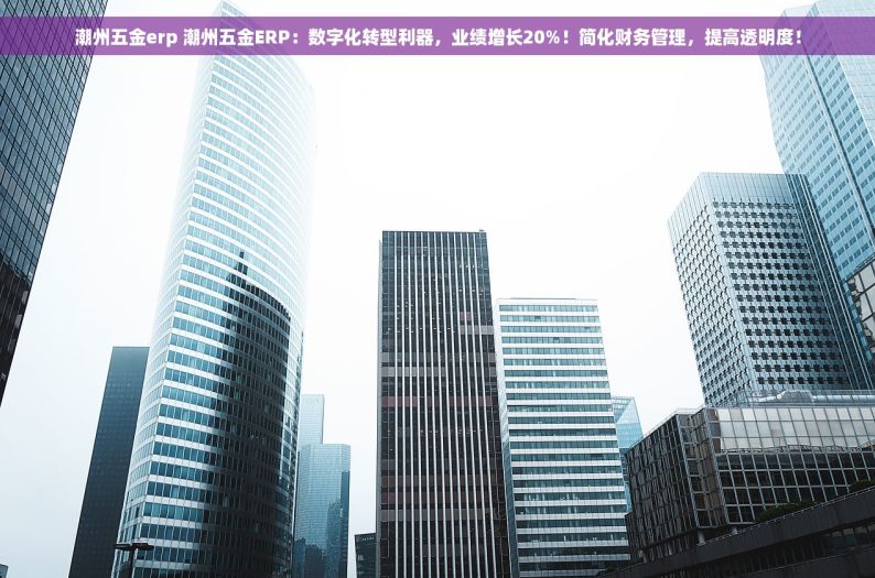 潮州五金erp 潮州五金ERP：数字化转型利器，业绩增长20%！简化财务管理，提高透明度！