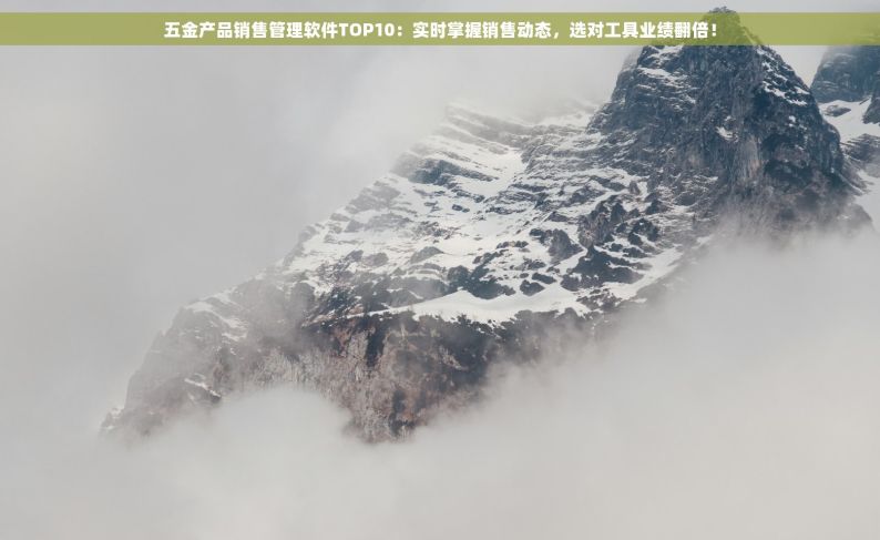 五金产品销售管理软件TOP10：实时掌握销售动态，选对工具业绩翻倍！