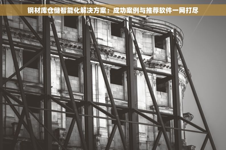 钢材库仓储智能化解决方案：成功案例与推荐软件一网打尽
