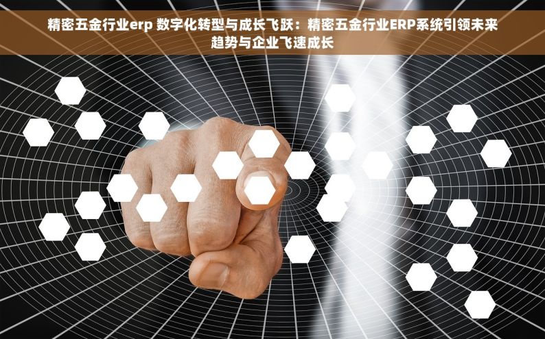 精密五金行业erp 数字化转型与成长飞跃：精密五金行业ERP系统引领未来趋势与企业飞速成长