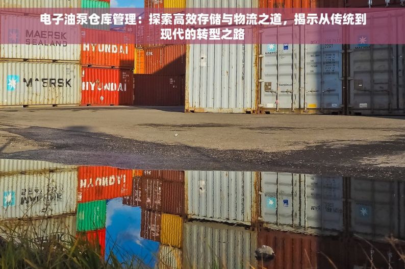 电子油泵仓库管理：探索高效存储与物流之道，揭示从传统到现代的转型之路