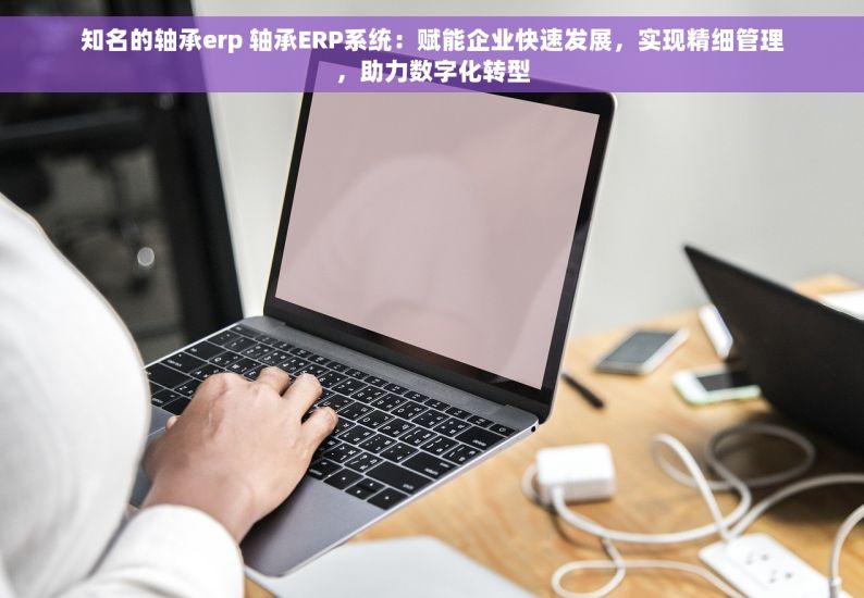 小牛电动车工厂物流管理的风险评估、质量控制方法与优化策略