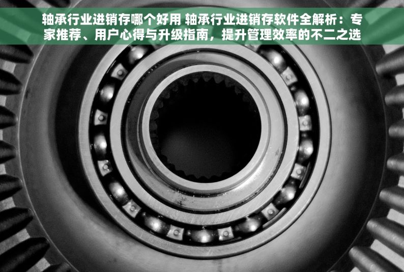 轴承行业进销存哪个好用 轴承行业进销存软件全解析：专家推荐、用户心得与升级指南，提升管理效率的不二之选