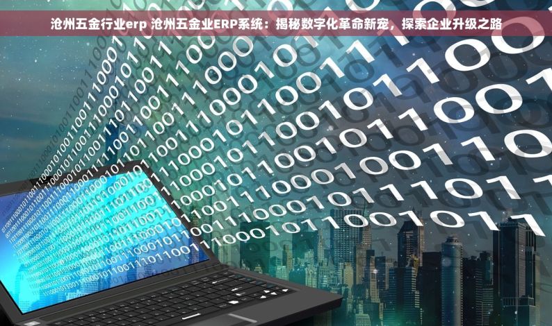 沧州五金行业erp 沧州五金业ERP系统：揭秘数字化革命新宠，探索企业升级之路