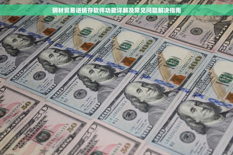钢材贸易进销存软件功能详解及常见问题解决指南
