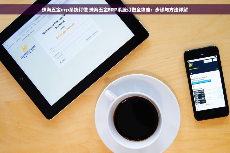 珠海五金erp系统订做 珠海五金ERP系统订做全攻略：步骤与方法详解