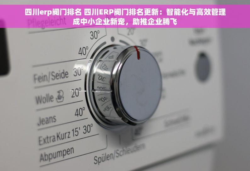 四川erp阀门排名 四川ERP阀门排名更新：智能化与高效管理成中小企业新宠，助推企业腾飞