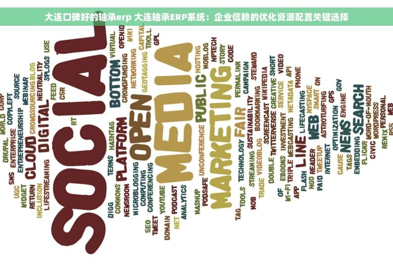 大连口碑好的轴承erp 大连轴承ERP系统：企业信赖的优化资源配置关键选择