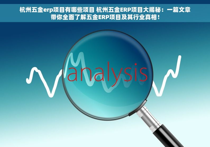 杭州五金erp项目有哪些项目 杭州五金ERP项目大揭秘：一篇文章带你全面了解五金ERP项目及其行业真相！