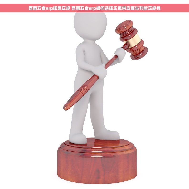 西藏五金erp哪家正规 西藏五金erp如何选择正规供应商与判断正规性