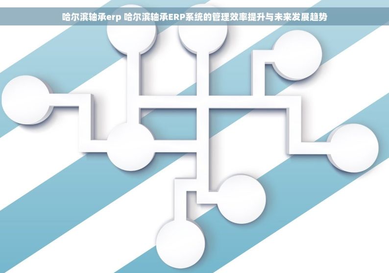 哈尔滨轴承erp 哈尔滨轴承ERP系统的管理效率提升与未来发展趋势