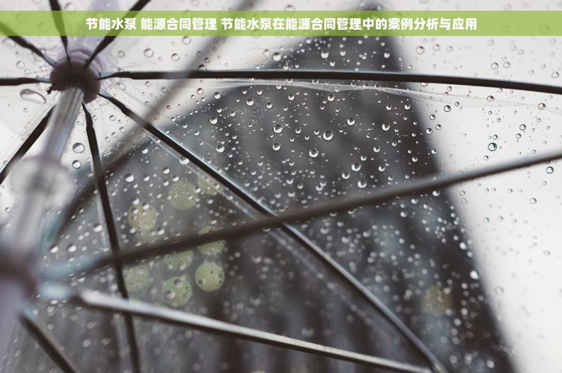 节能水泵 能源合同管理 节能水泵在能源合同管理中的案例分析与应用