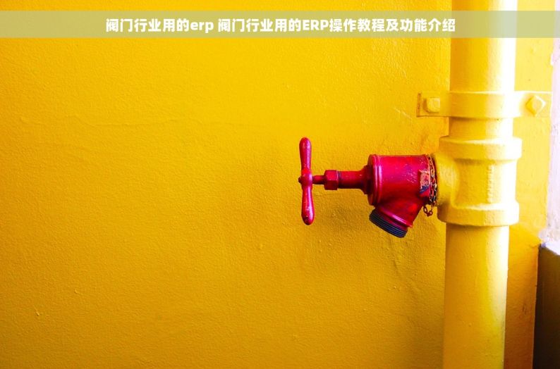 阀门行业用的erp 阀门行业用的ERP操作教程及功能介绍
