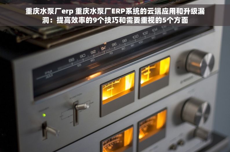 重庆水泵厂erp 重庆水泵厂ERP系统的云端应用和升级漏洞：提高效率的9个技巧和需要重视的5个方面