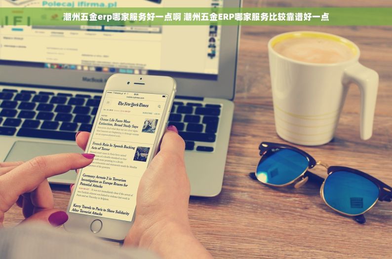 潮州五金erp哪家服务好一点啊 潮州五金ERP哪家服务比较靠谱好一点