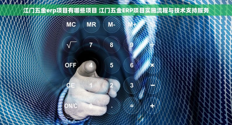 江门五金erp项目有哪些项目 江门五金ERP项目实施流程与技术支持服务