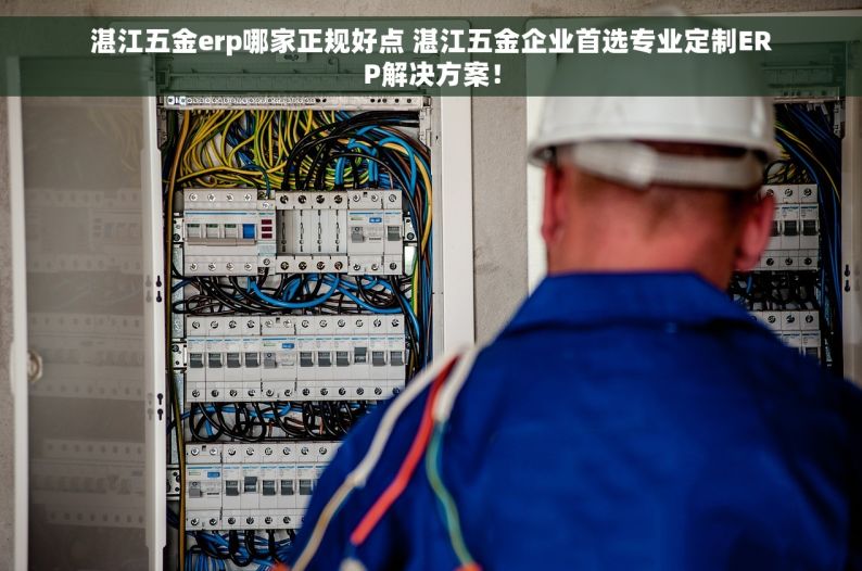 湛江五金erp哪家正规好点 湛江五金企业首选专业定制ERP解决方案！