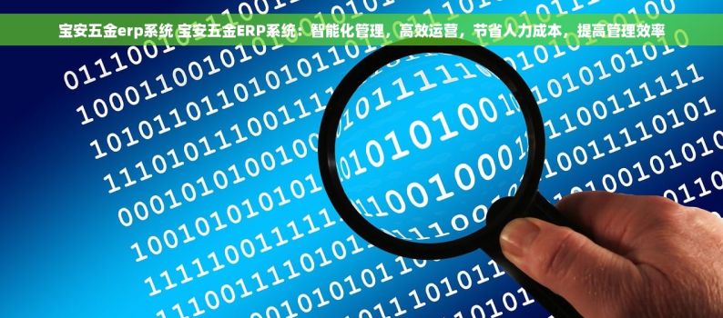宝安五金erp系统 宝安五金ERP系统：智能化管理，高效运营，节省人力成本，提高管理效率