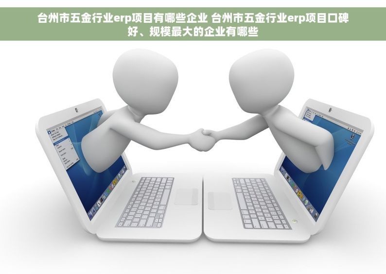 台州市五金行业erp项目有哪些企业 台州市五金行业erp项目口碑好、规模最大的企业有哪些